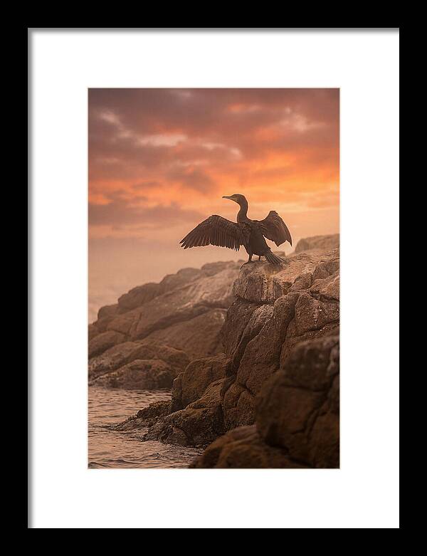 Cormorant Drying Wings At Sunset
