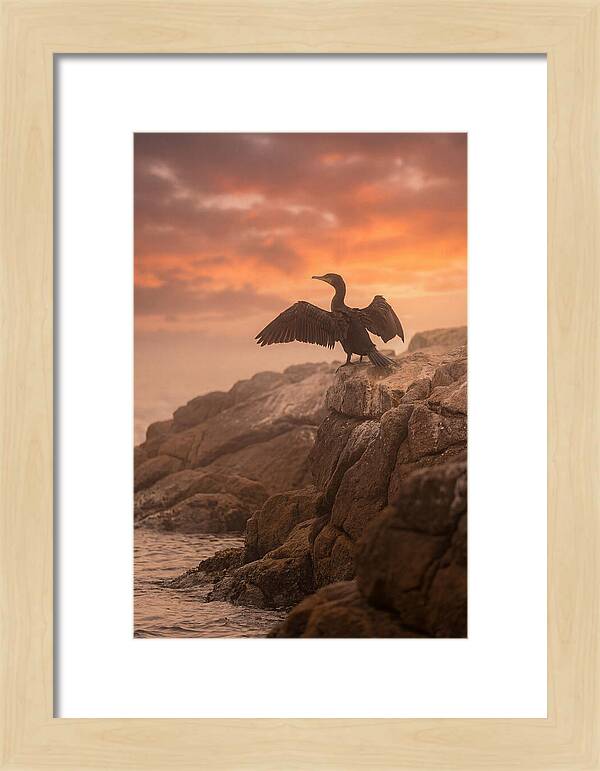 Cormorant Drying Wings At Sunset