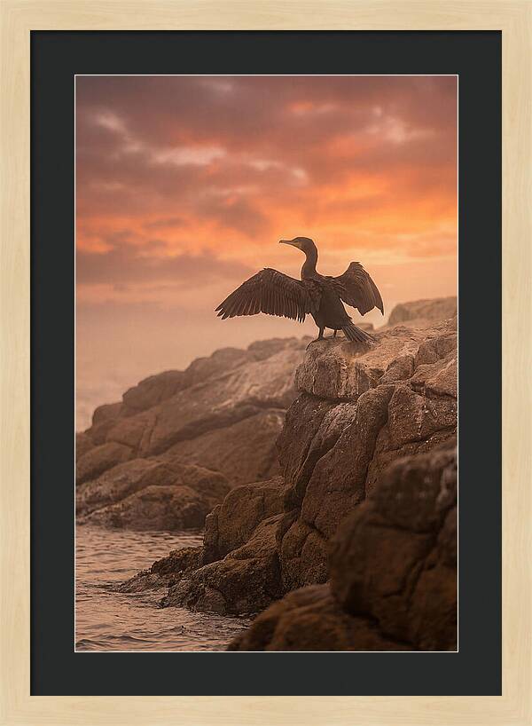 Cormorant Drying Wings At Sunset