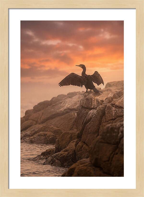 Cormorant Drying Wings At Sunset