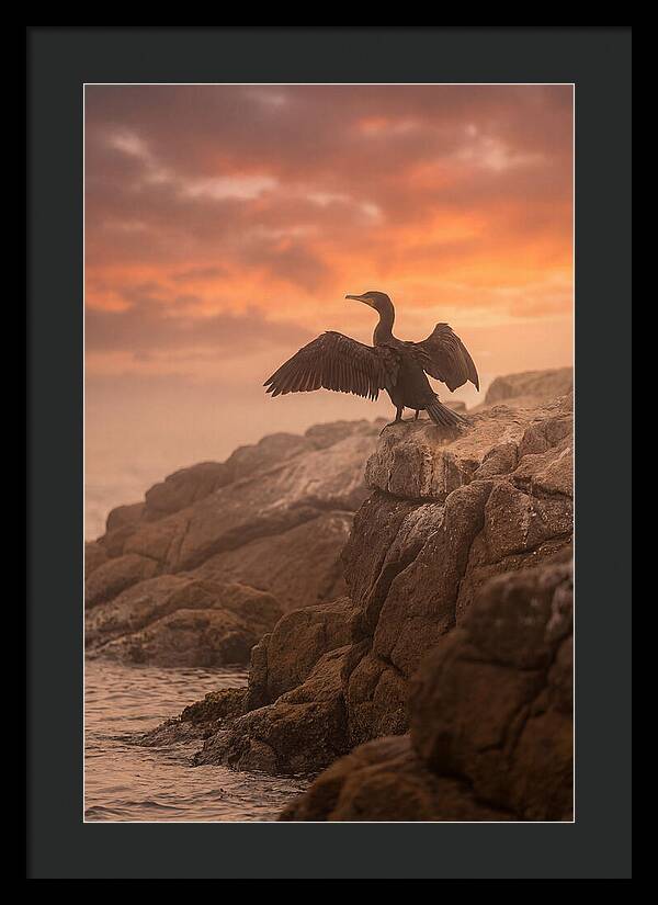 Cormorant Drying Wings At Sunset