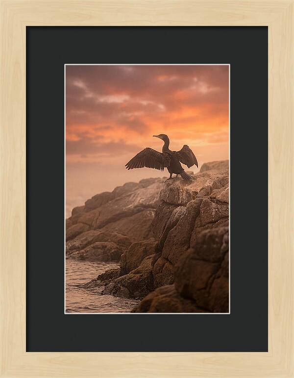 Cormorant Drying Wings At Sunset