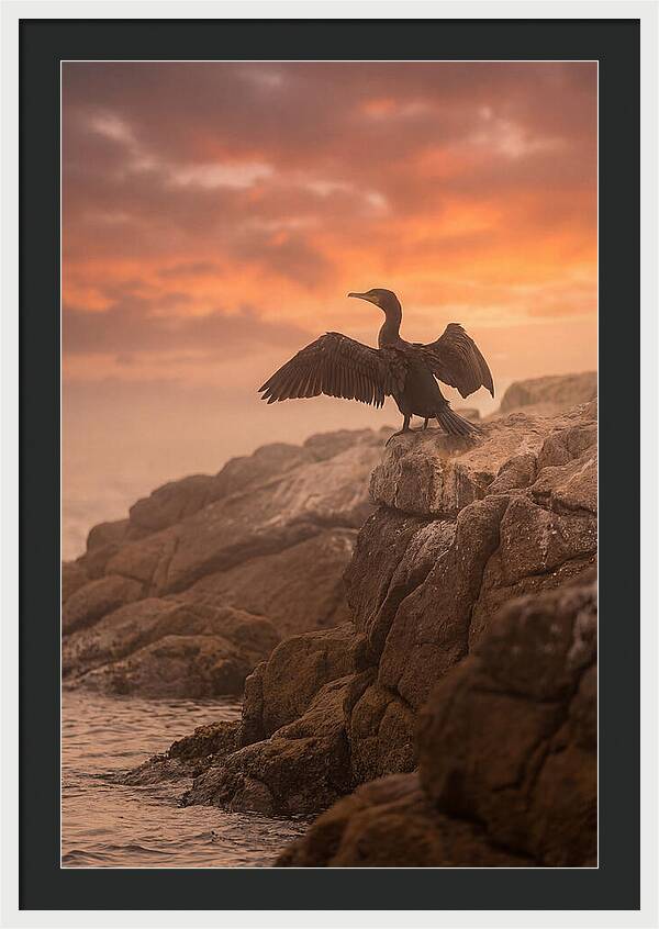 Cormorant Drying Wings At Sunset