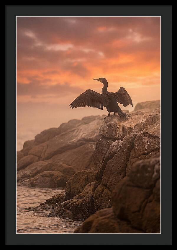 Cormorant Drying Wings At Sunset