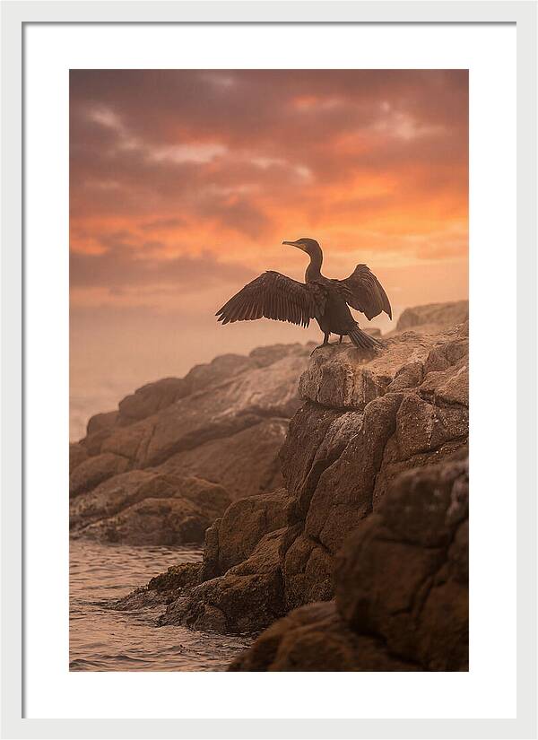 Cormorant Drying Wings At Sunset