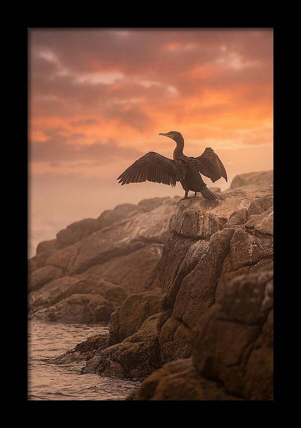 Cormorant Drying Wings At Sunset