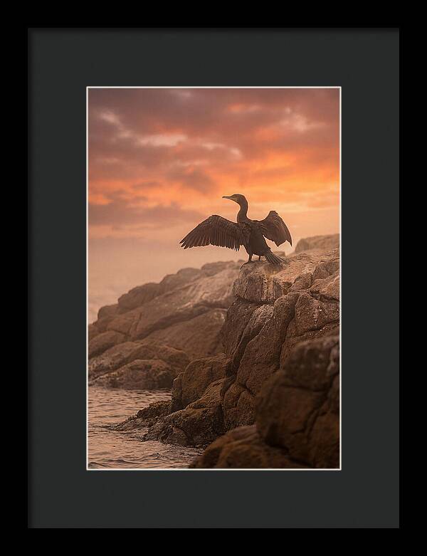 Cormorant Drying Wings At Sunset