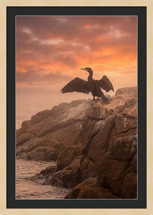 Cormorant Drying Wings At Sunset