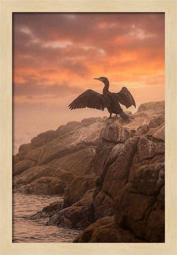 Cormorant Drying Wings At Sunset