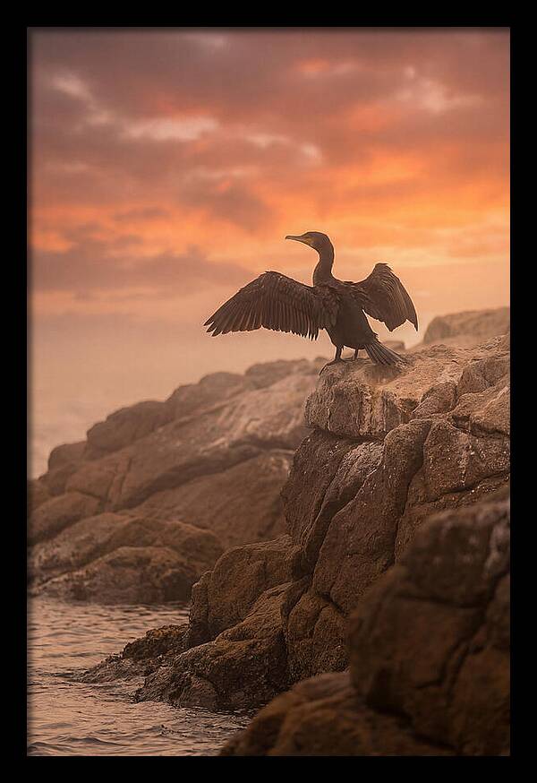 Cormorant Drying Wings At Sunset
