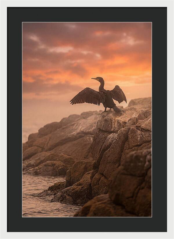 Cormorant Drying Wings At Sunset