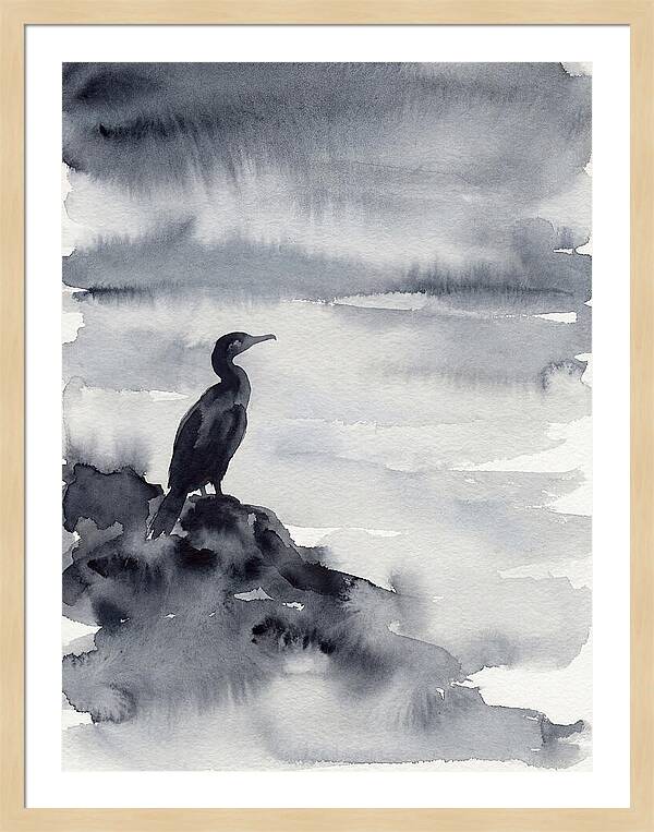 Cormorant Silhouette In Monochrome