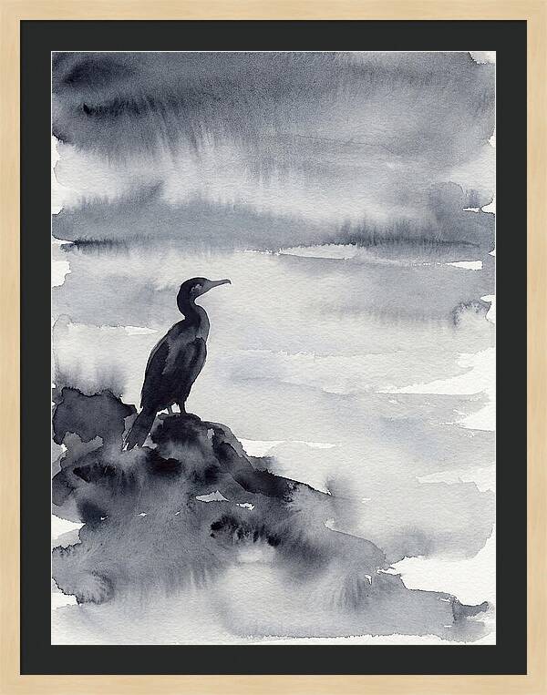 Cormorant Silhouette In Monochrome