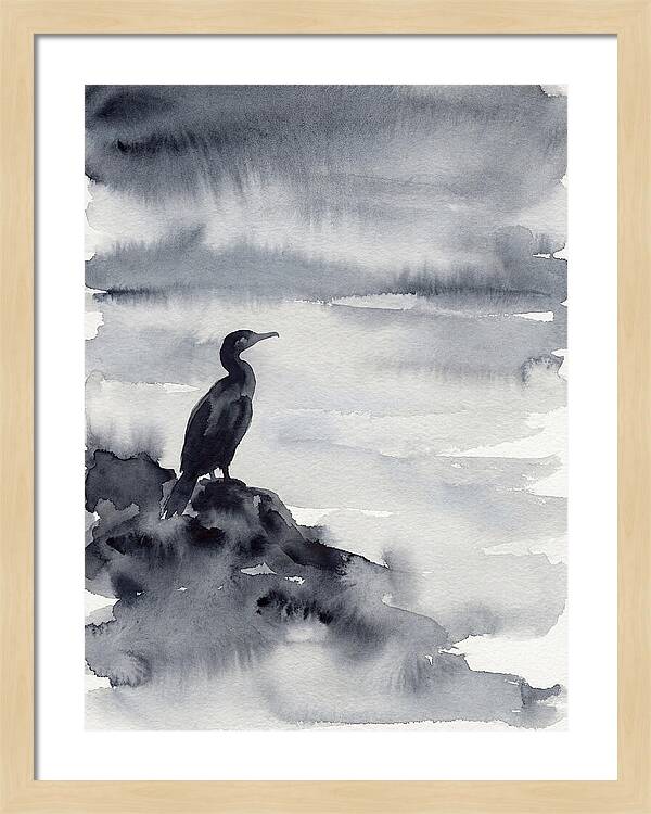 Cormorant Silhouette In Monochrome