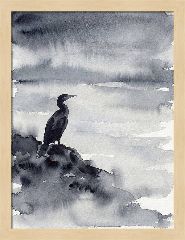 Cormorant Silhouette In Monochrome