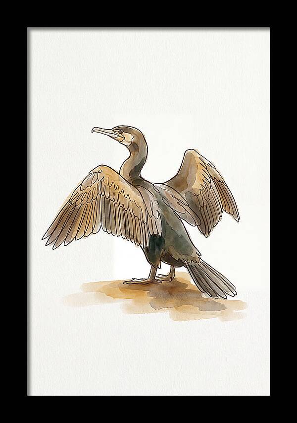 Cormorant With Wings Spread