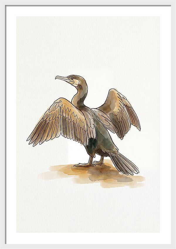 Cormorant With Wings Spread