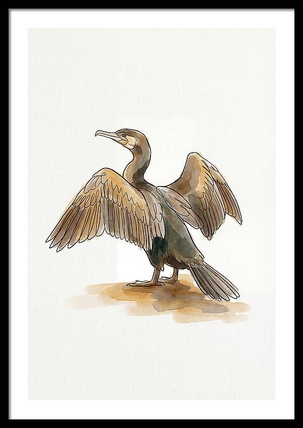 Cormorant With Wings Spread