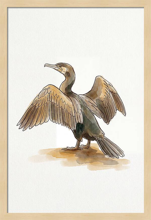 Cormorant With Wings Spread