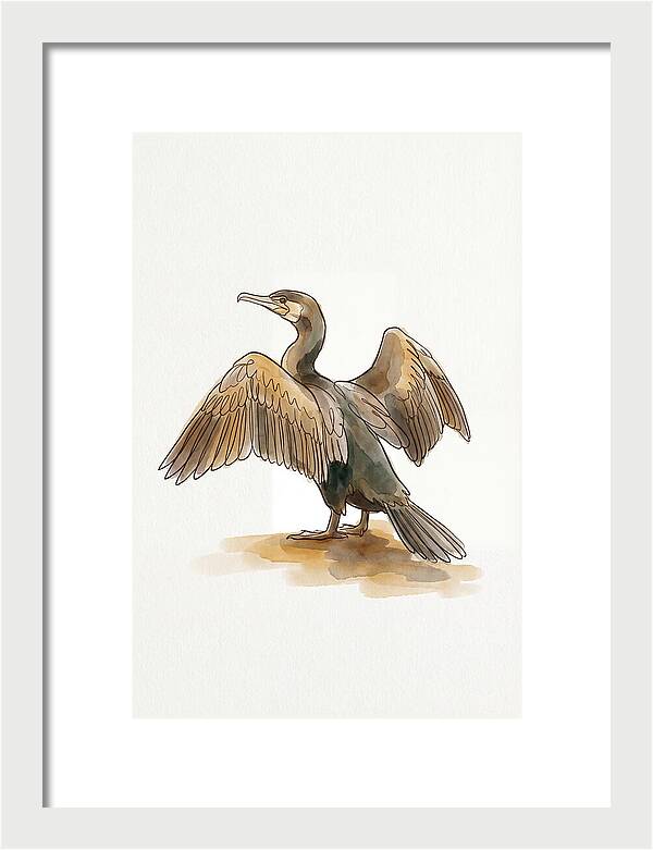 Cormorant With Wings Spread