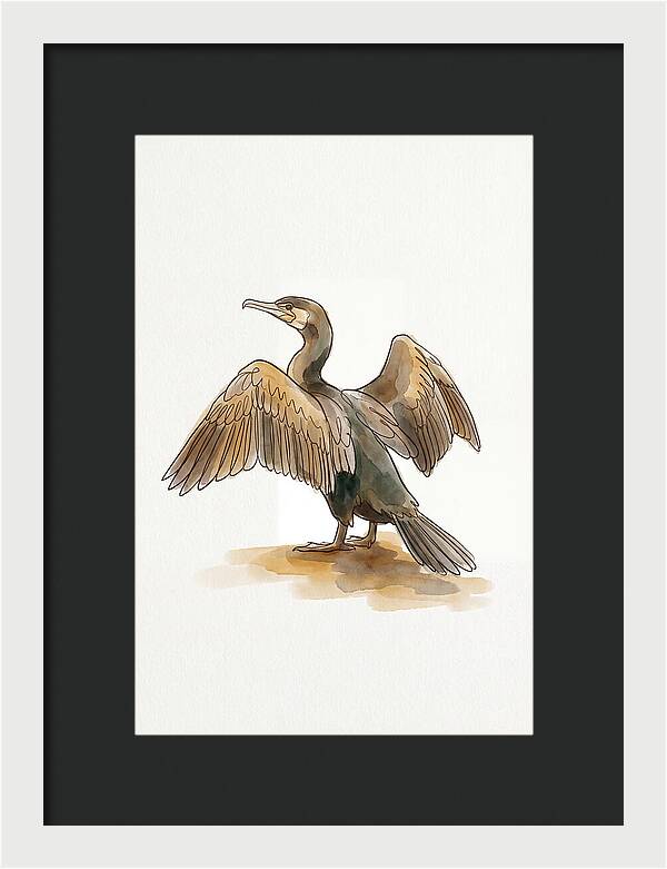 Cormorant With Wings Spread