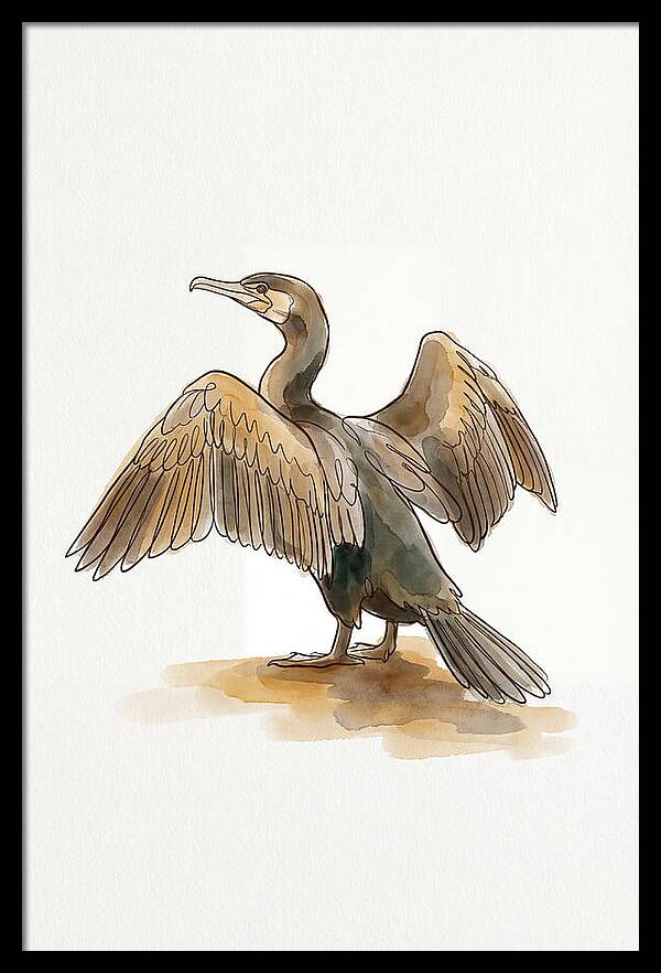 Cormorant With Wings Spread