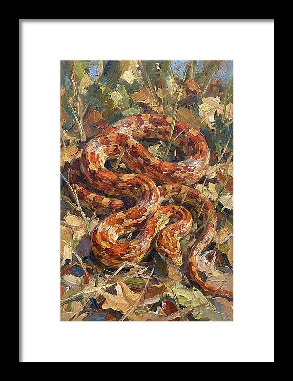 Corn Snake Among Autumn Leaves