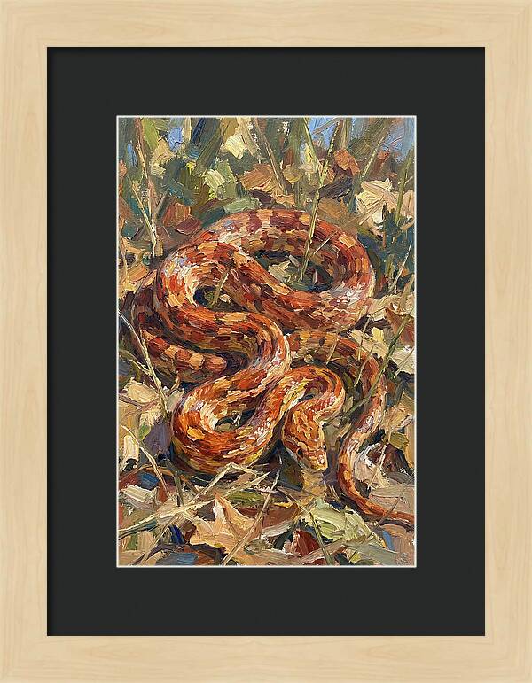 Corn Snake Among Autumn Leaves