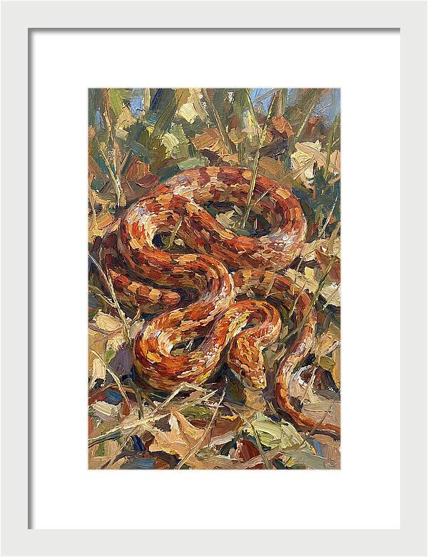 Corn Snake Among Autumn Leaves