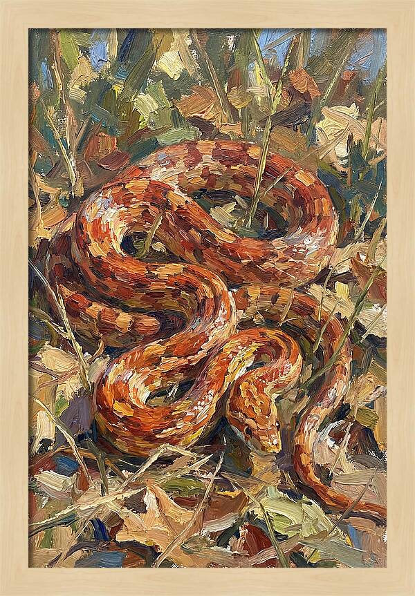 Corn Snake Among Autumn Leaves