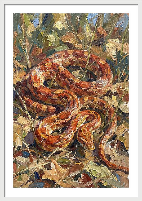 Corn Snake Among Autumn Leaves