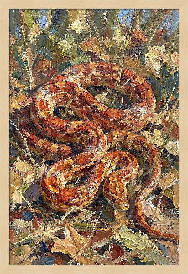Corn Snake Among Autumn Leaves