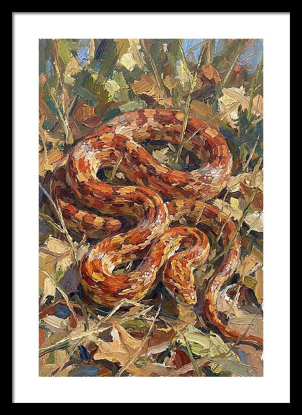 Corn Snake Among Autumn Leaves