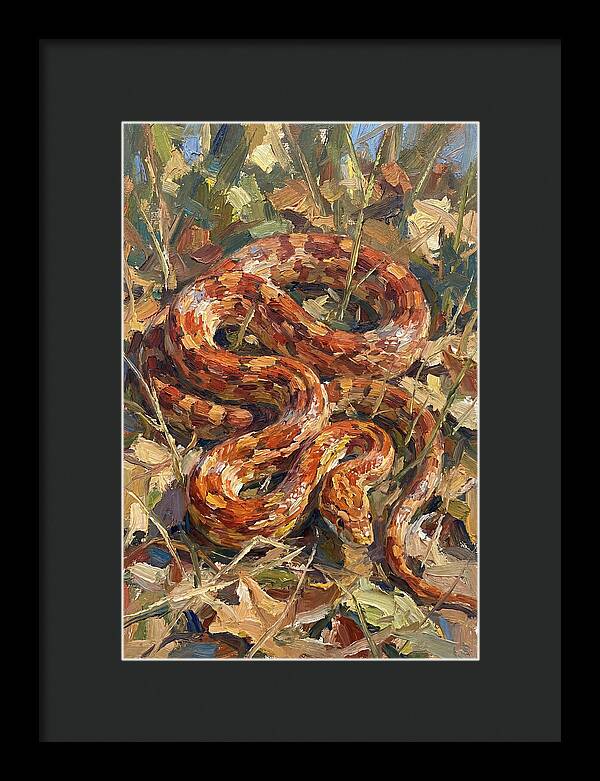 Corn Snake Among Autumn Leaves