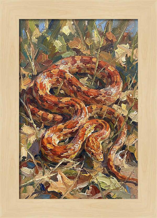 Corn Snake Among Autumn Leaves