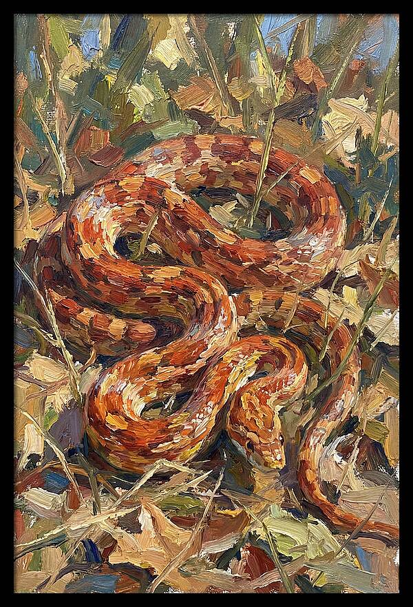 Corn Snake Among Autumn Leaves