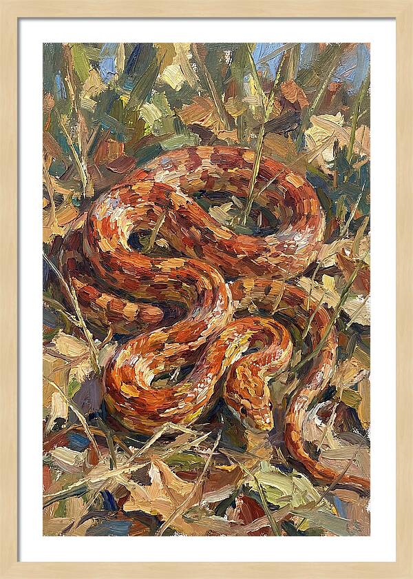 Corn Snake Among Autumn Leaves