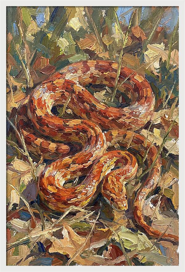 Corn Snake Among Autumn Leaves