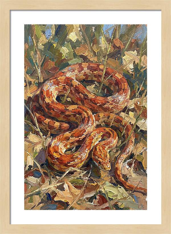 Corn Snake Among Autumn Leaves