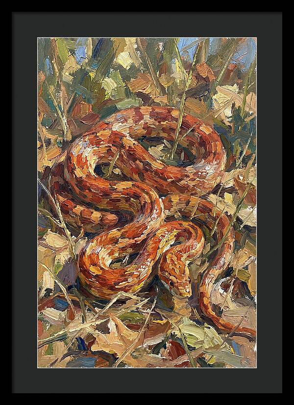 Corn Snake Among Autumn Leaves