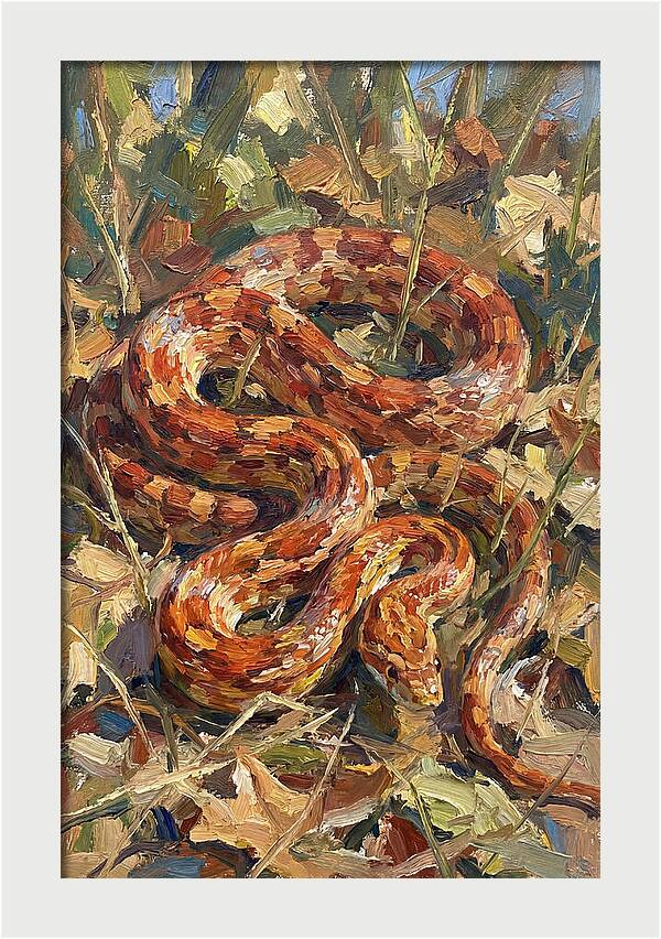 Corn Snake Among Autumn Leaves