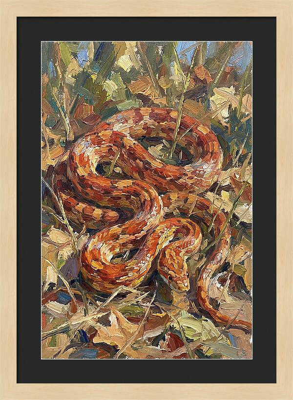 Corn Snake Among Autumn Leaves