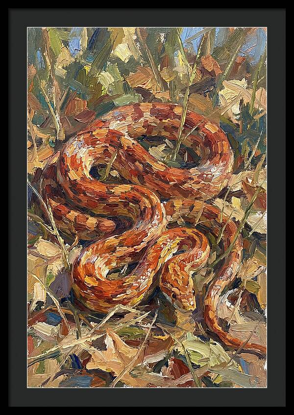 Corn Snake Among Autumn Leaves