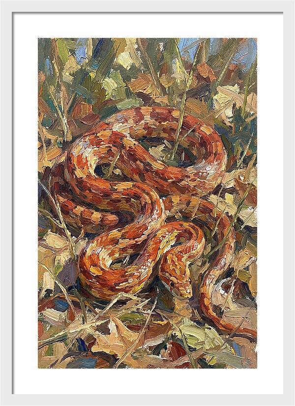 Corn Snake Among Autumn Leaves