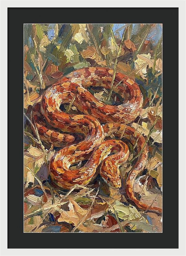 Corn Snake Among Autumn Leaves