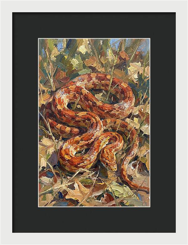 Corn Snake Among Autumn Leaves