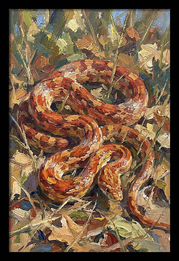 Corn Snake Among Autumn Leaves