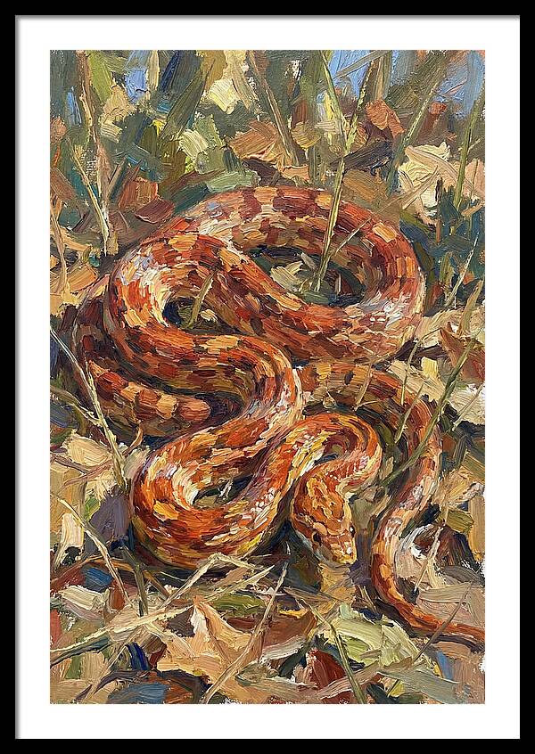 Corn Snake Among Autumn Leaves