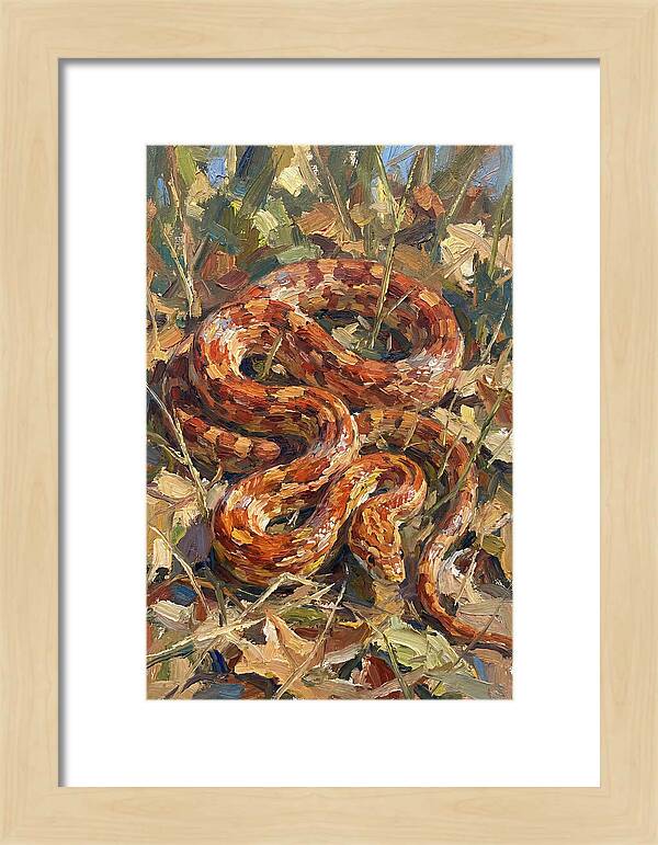 Corn Snake Among Autumn Leaves