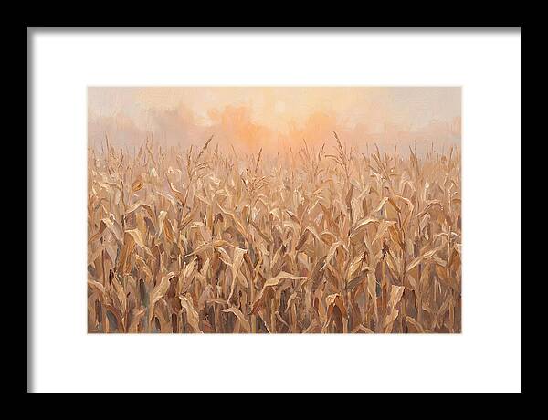 Cornfield At Dusk
